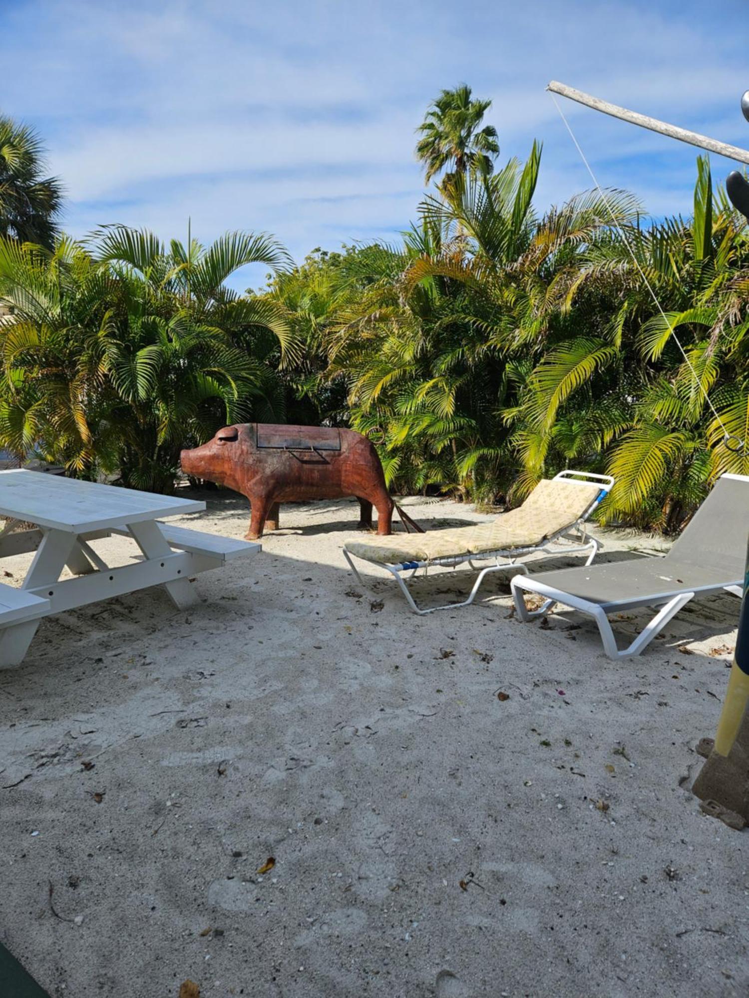 Oasis Palms Resort Сант Пит Бич Экстерьер фото